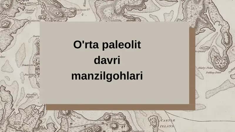 O'rta paleolit davri manzilgohlari