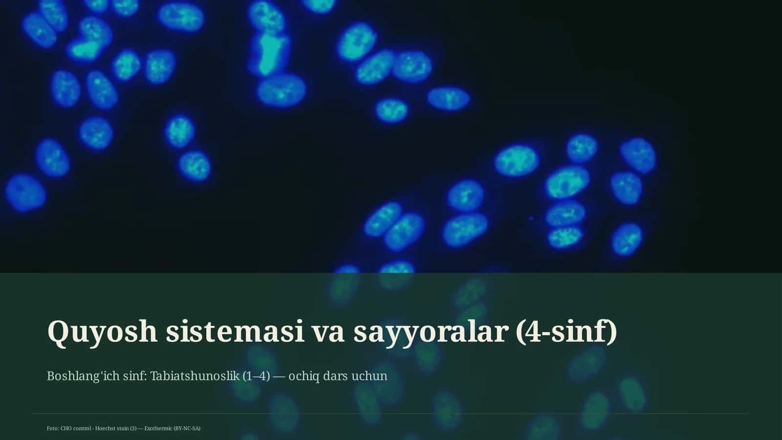 Quyosh sistemasi va sayyoralar (4-sinf)