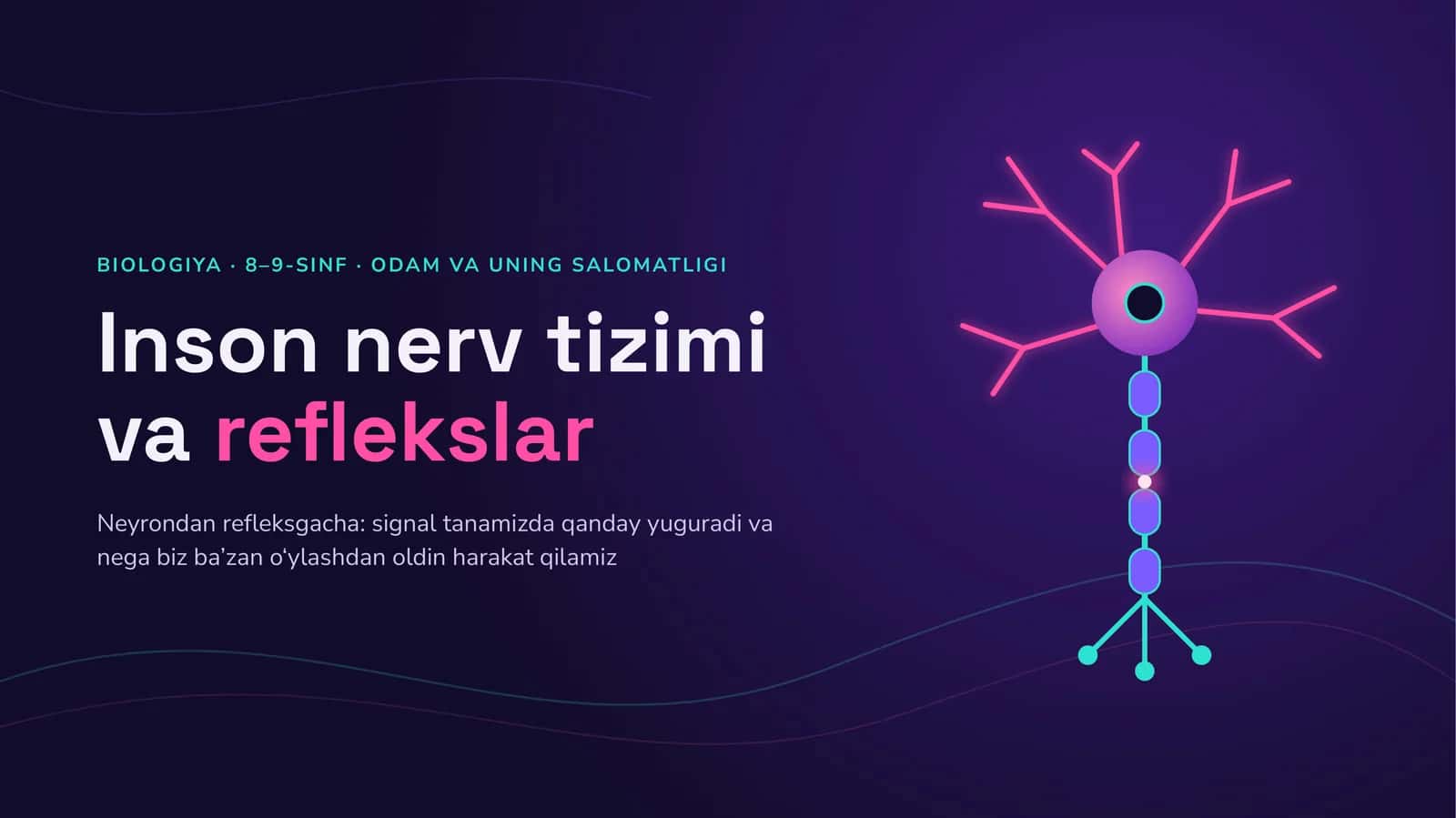 Inson nerv tizimi vareflekslar
