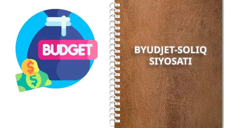BYUDJET-SOLIQ SIYOSATI