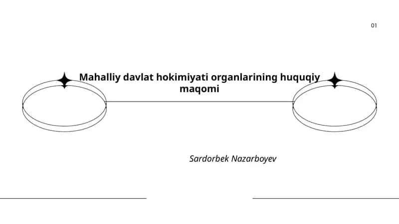 Mahalliy davlat hokimiyati organlarining huquqiy maqomi