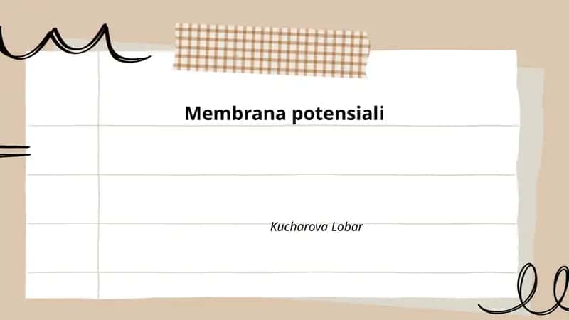 Membrana potensiali