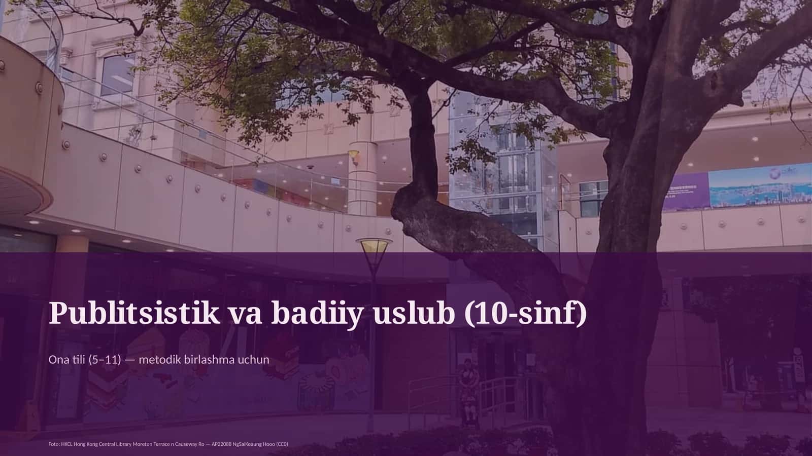 Publitsistik va badiiy uslub (10-sinf)