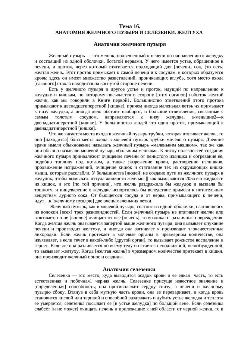 Анатомия желчного пузыря и селезенки