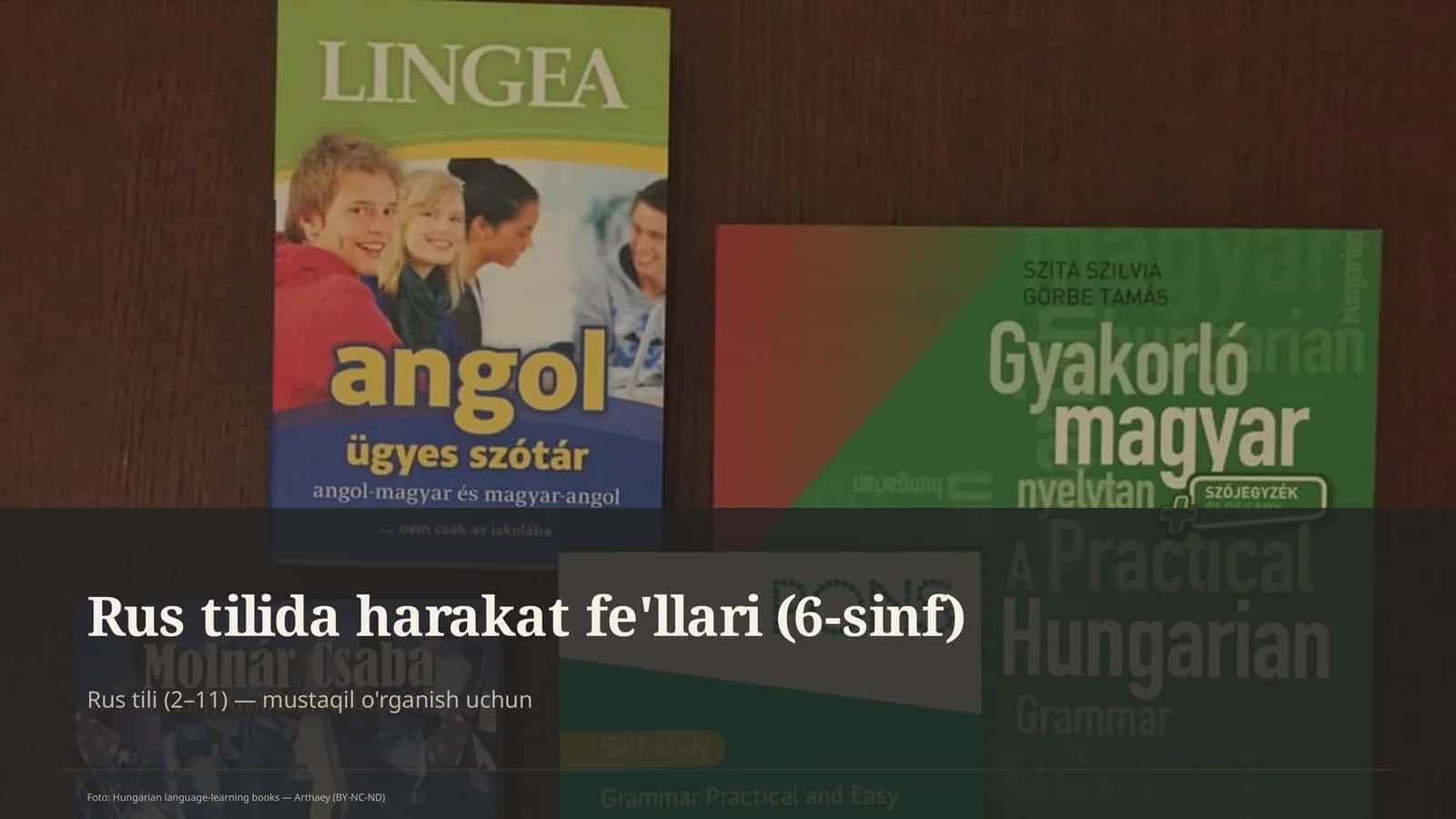 Rus tilida harakat fe'llari (6-sinf)