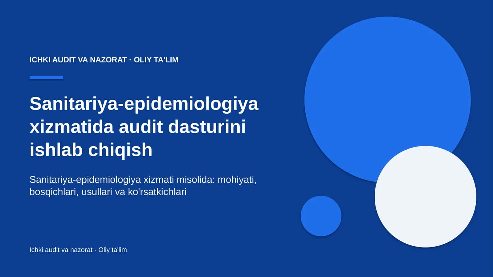 Sanitariya-epidemiologiya xizmatida audit dasturini ishlab chiqish