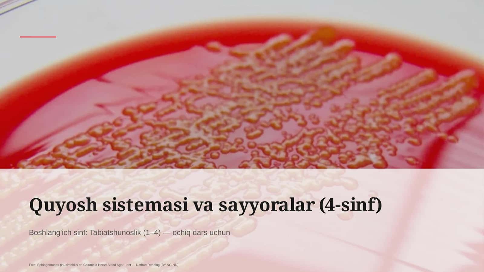 Quyosh sistemasi va sayyoralar (4-sinf)
