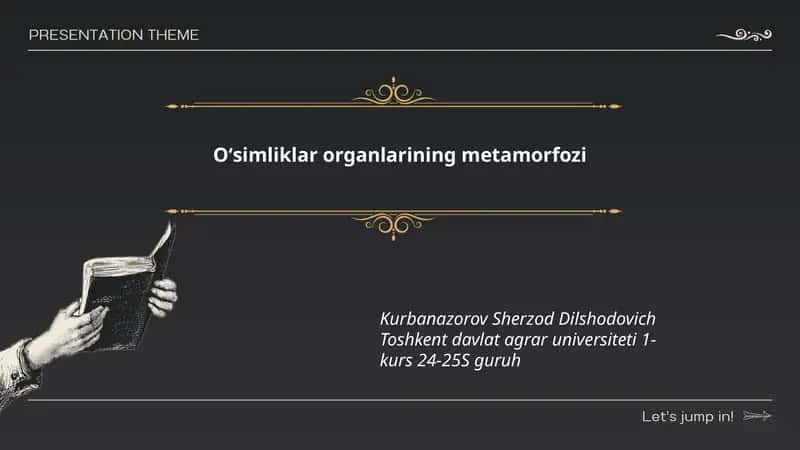 Barglarning metamorfozi