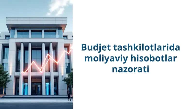 Budjet tashkilotlarida moliyaviy hisobotlar nazorati