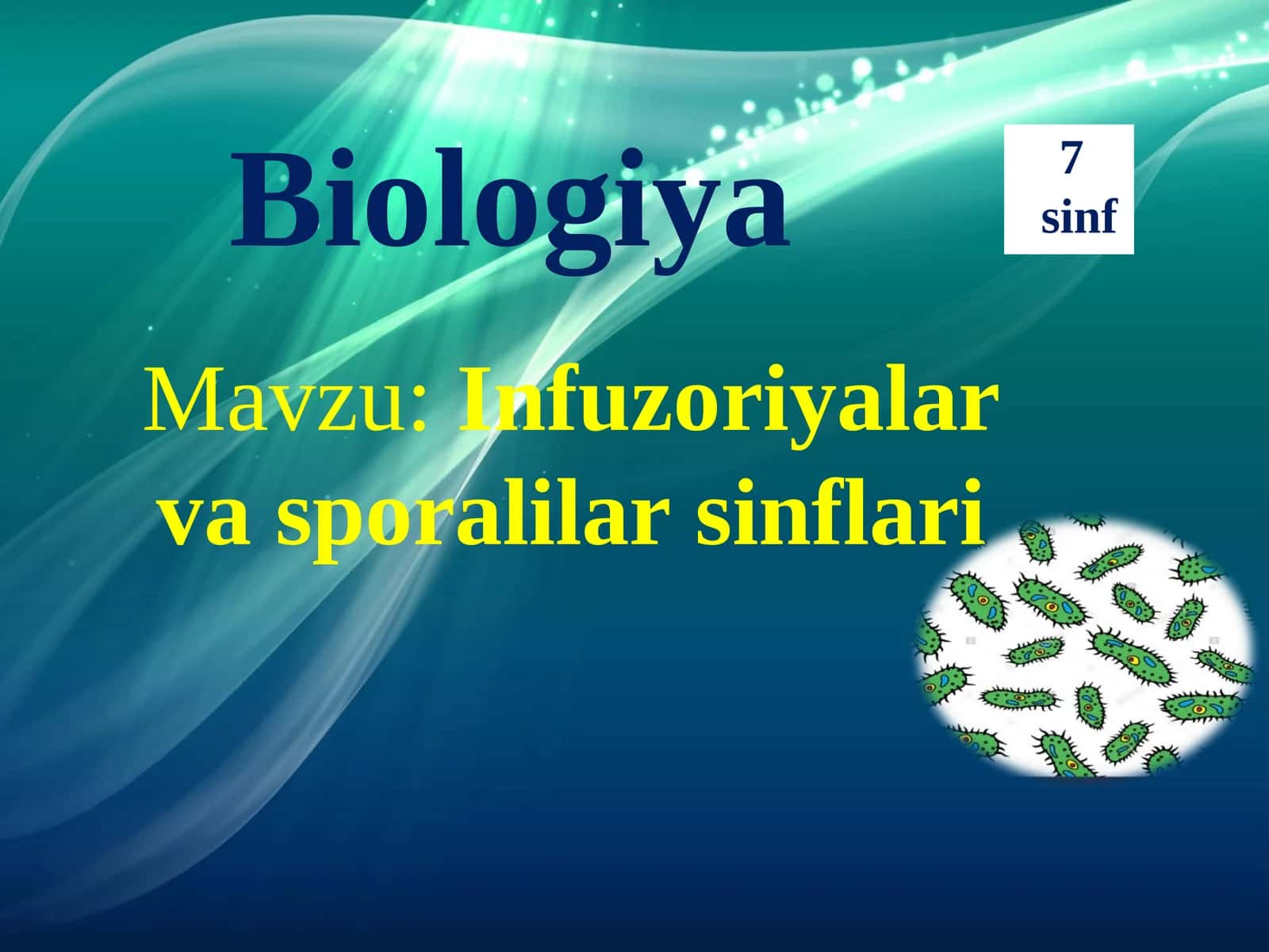 Infuzoriyalar va sporalilar sinflari