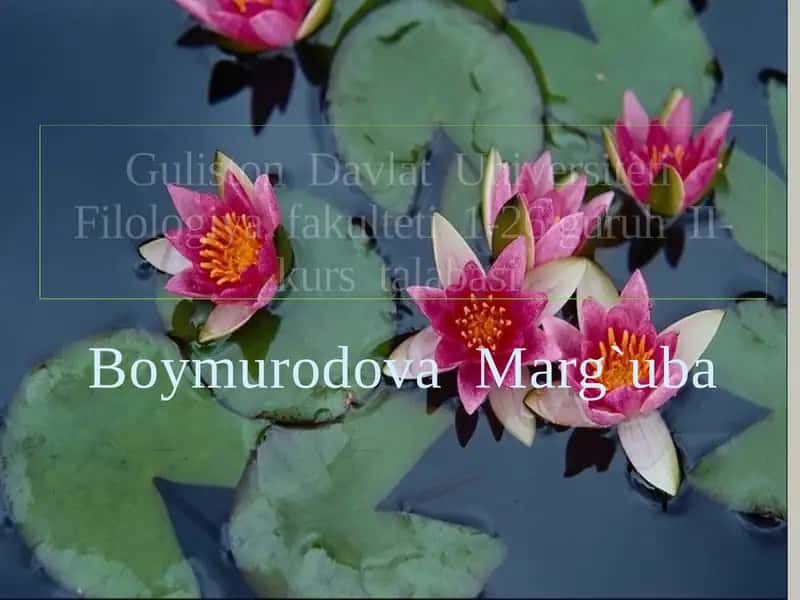 Alisher Navoiy – ruboiynavis