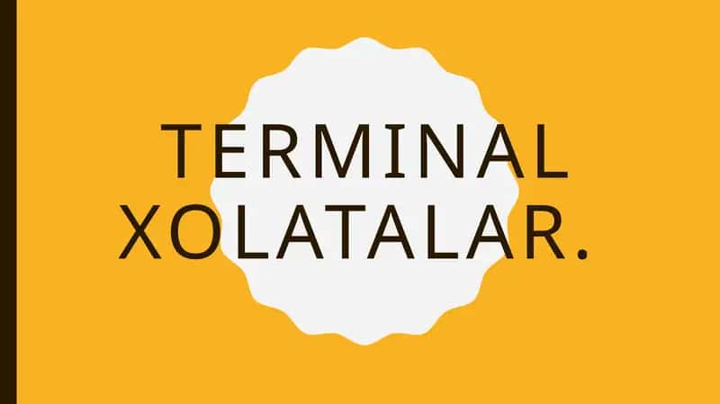 Terminal holatalar