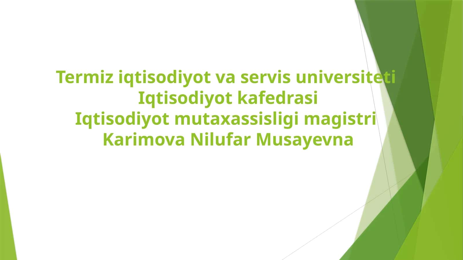 Magistratura Iqtisodiyot