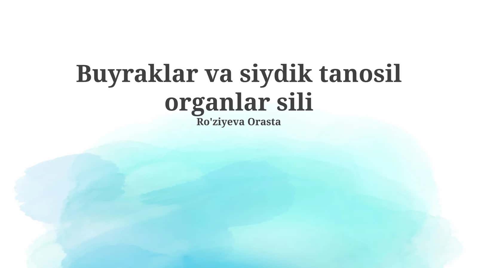 Buyraklar va siydik tanosil organlar sili