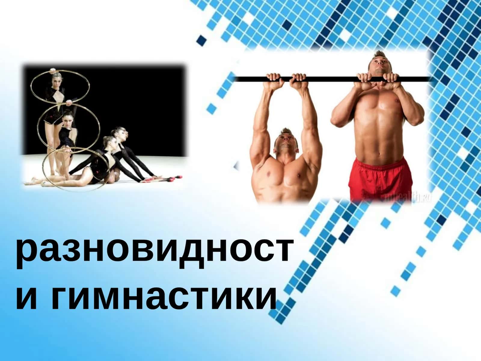 Разновидности гимнастики