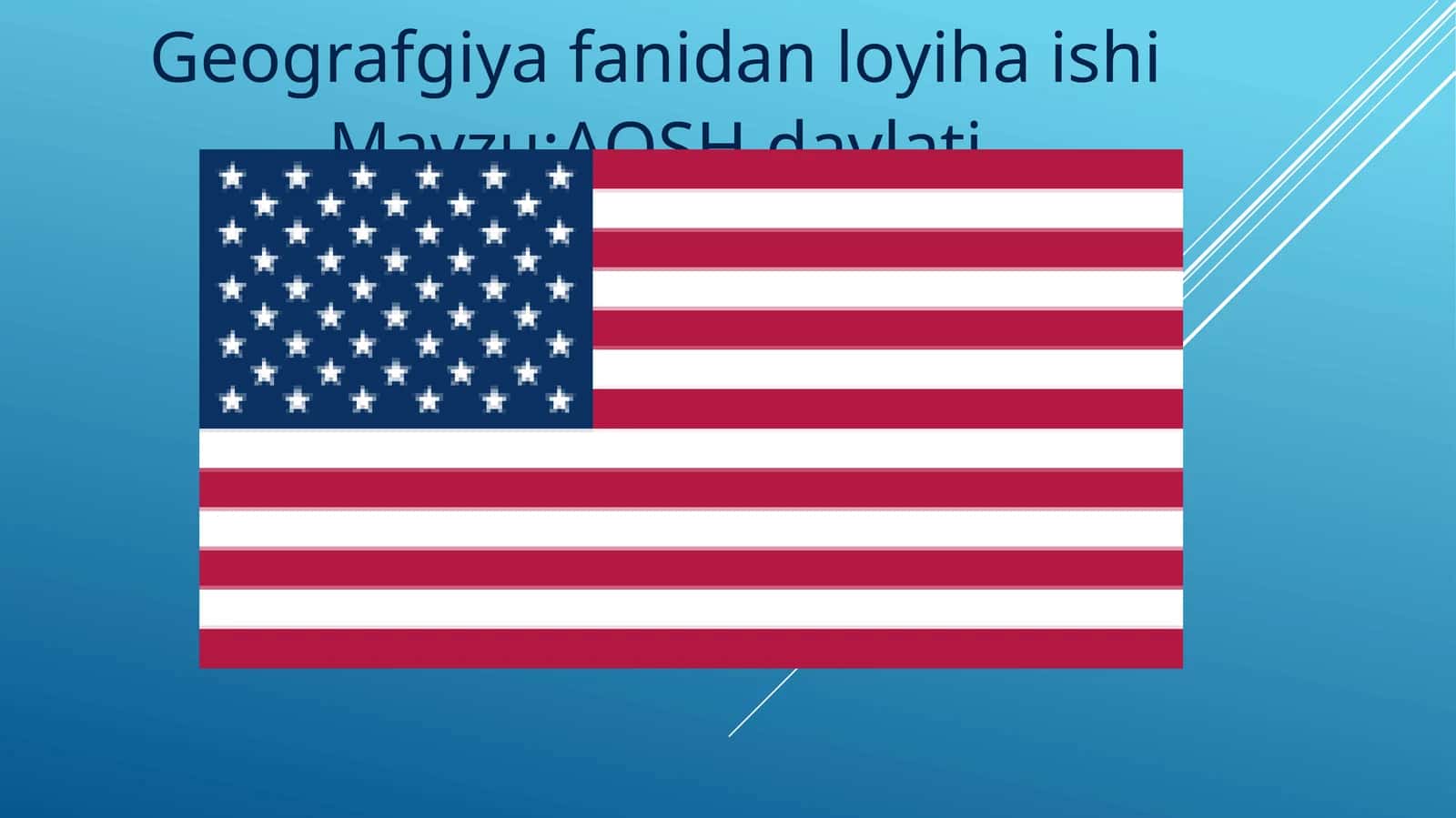 Geografgiya fanidan loyiha ishi - AQSH davlati