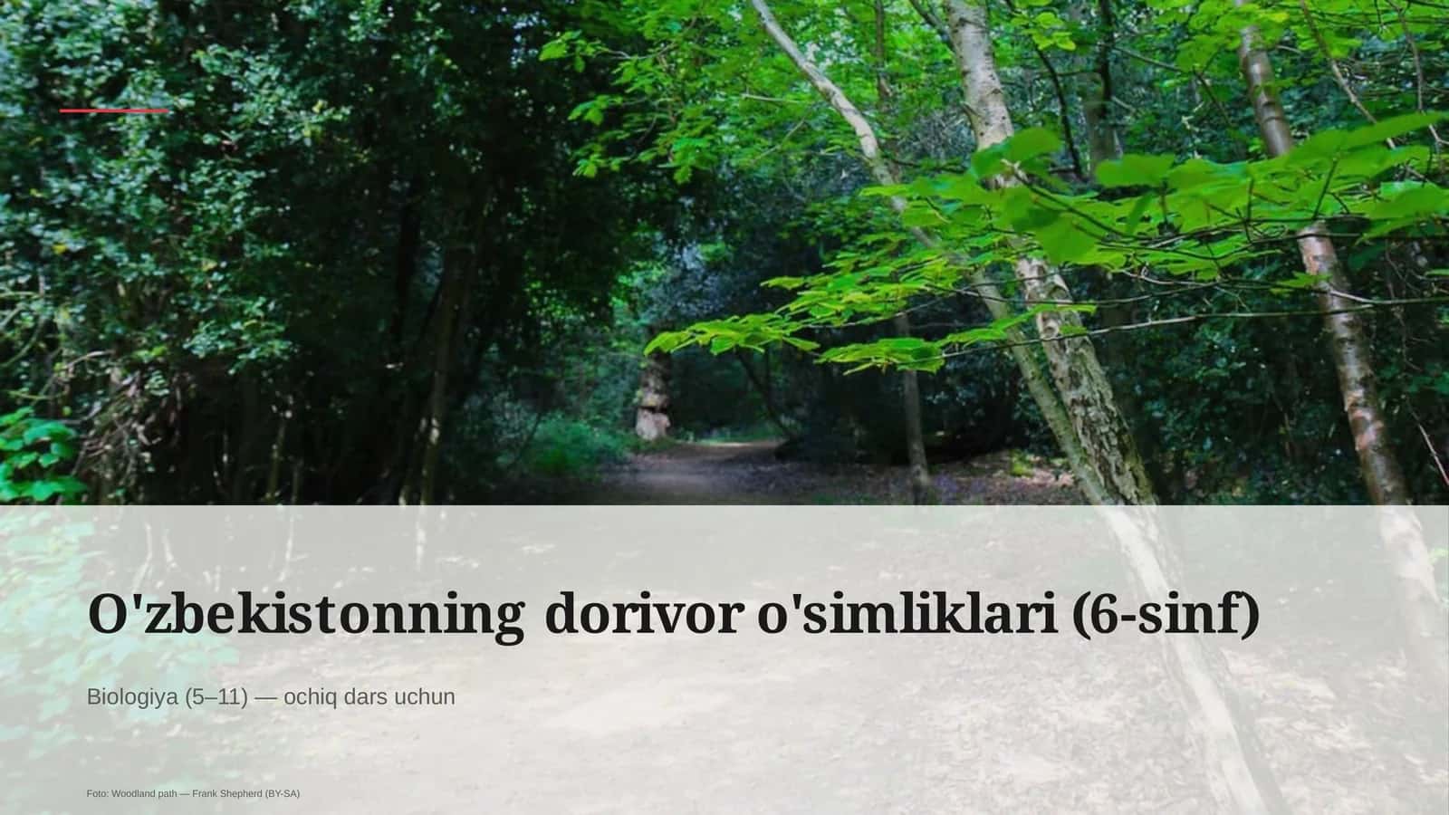 O'zbekistonning dorivor o'simliklari (6-sinf)