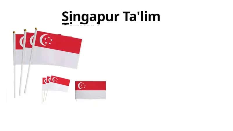 Singapur Ta'lim Tizimi