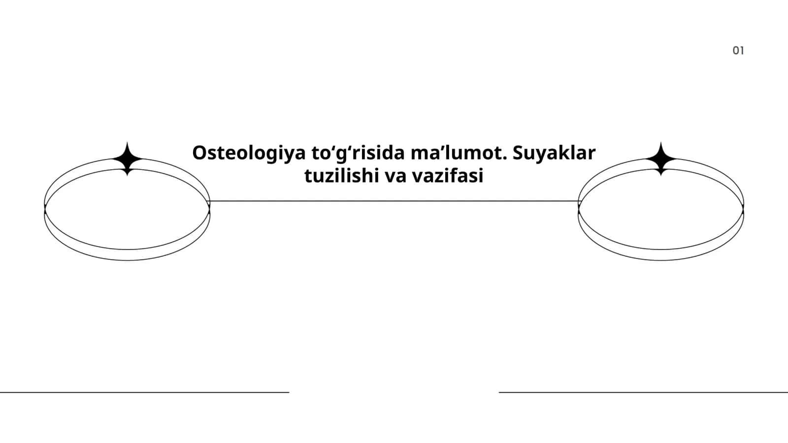 Suyaklar tuzilishi va vazifasi