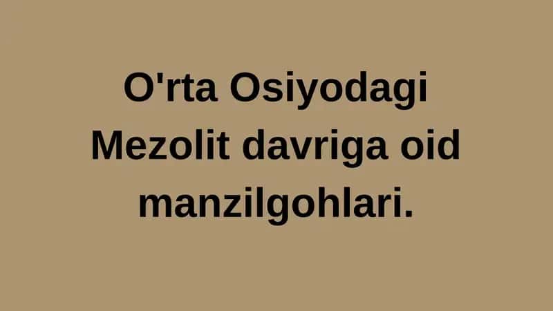 Mezolit davriga oid manzilgohlari
