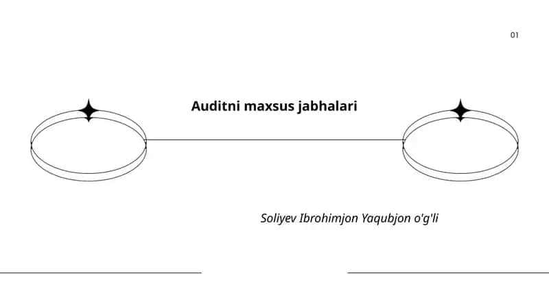 Moliyaviy auditning maxsus jabhalari