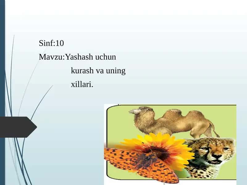Yashashuchun kurashvauning xillari