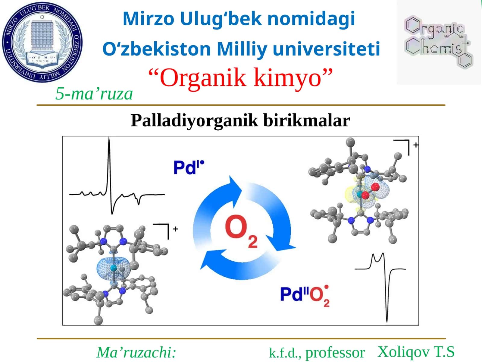 Palladiyorganikbirikmalar