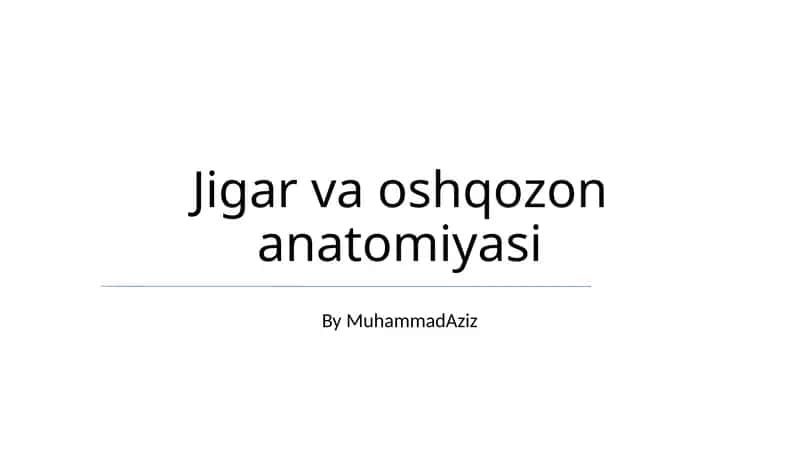 Jigar va oshqozon anatomiyasi