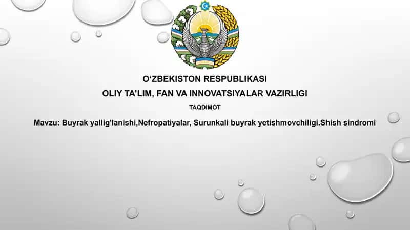 Buyrak yallig'lanishi, nefropatiyalar, surunkali buyrak yetishmovchiligi (SBY) va shish sindromi