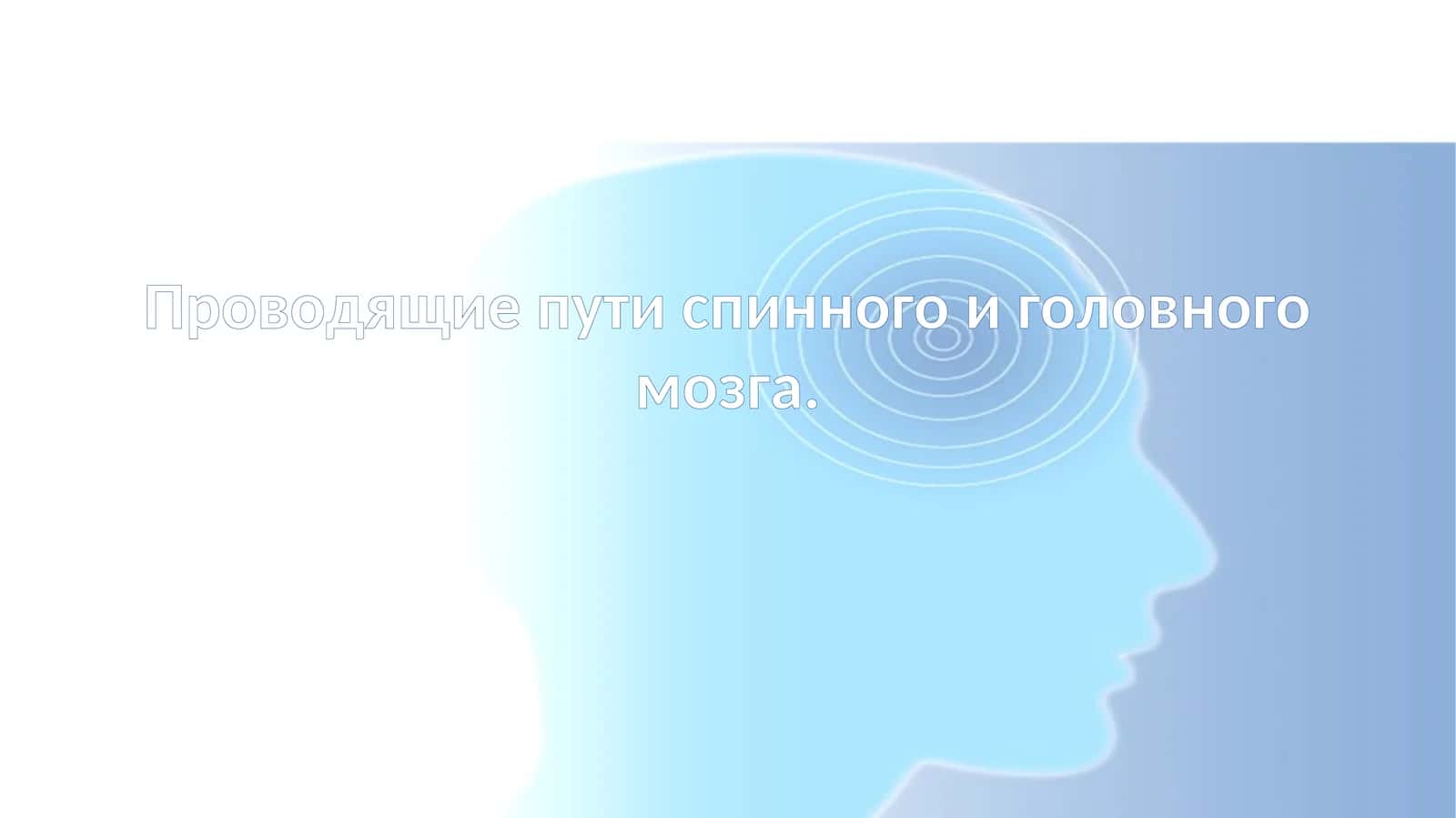 Проводящие пути спинного и головного мозга