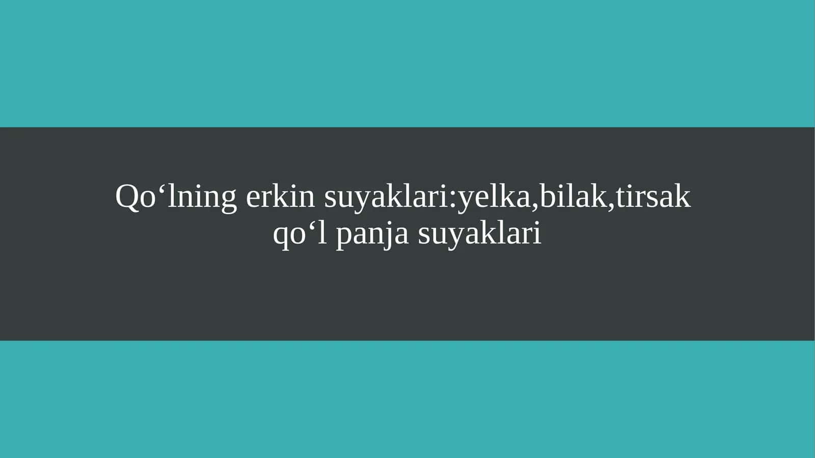 Qoʻlning erkin suyaklari yelka,bilak,tirsak qoʻl panja suyaklari