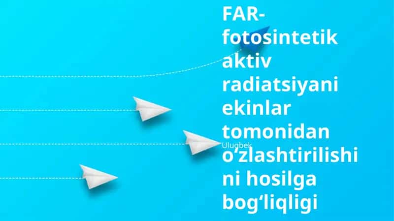 FNF yutilishi