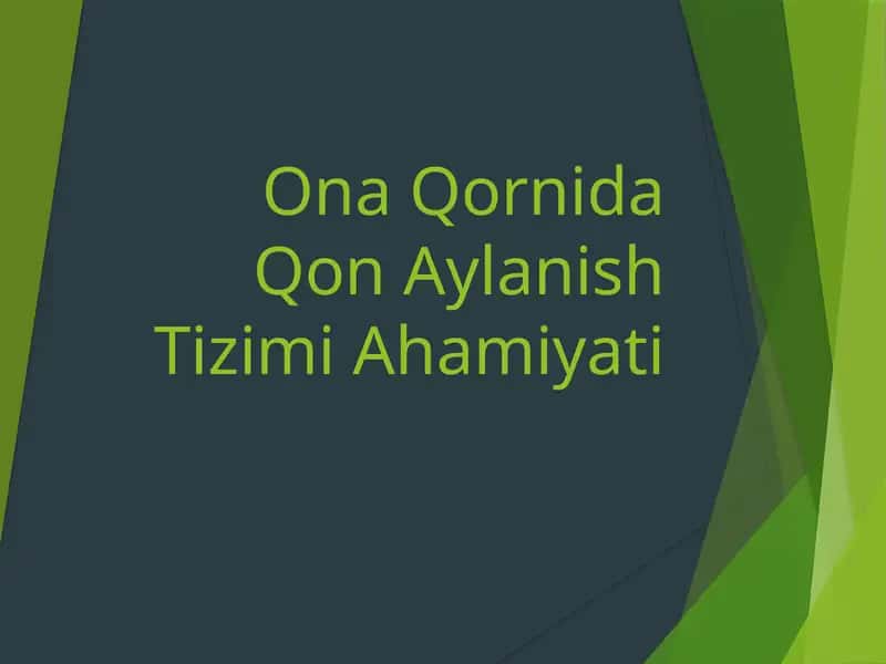 Ona-qornida qon aylanish tizimi