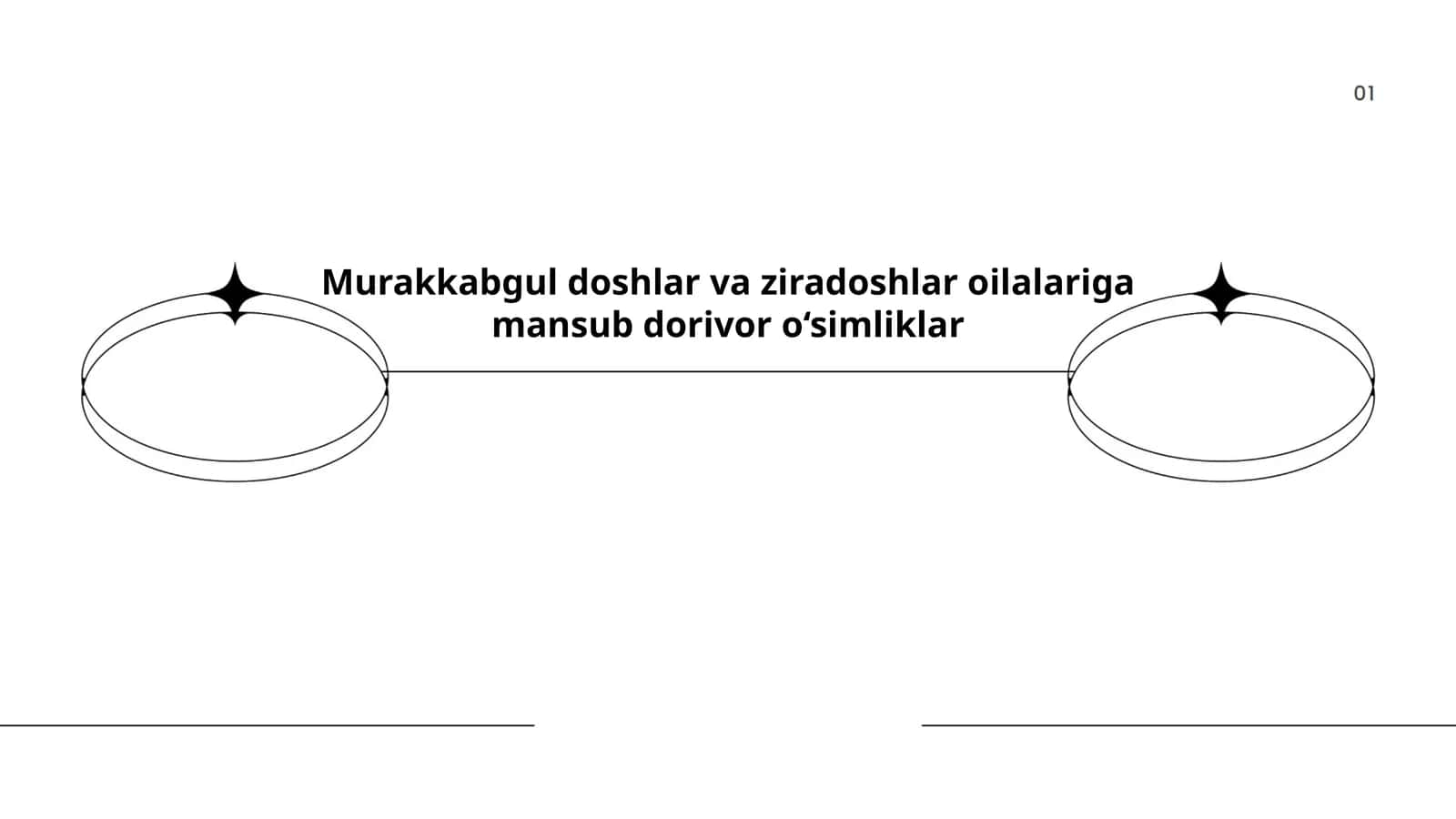 Murakkabgul doshlar va ziradoshlar oilalariga mansub dorivor o‘simliklar