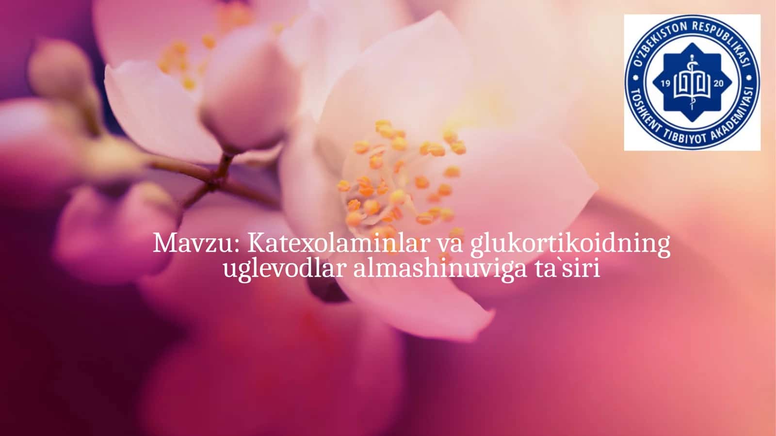 Katexolaminlarvaglukortikoidninguglevodlaralmashinuvi