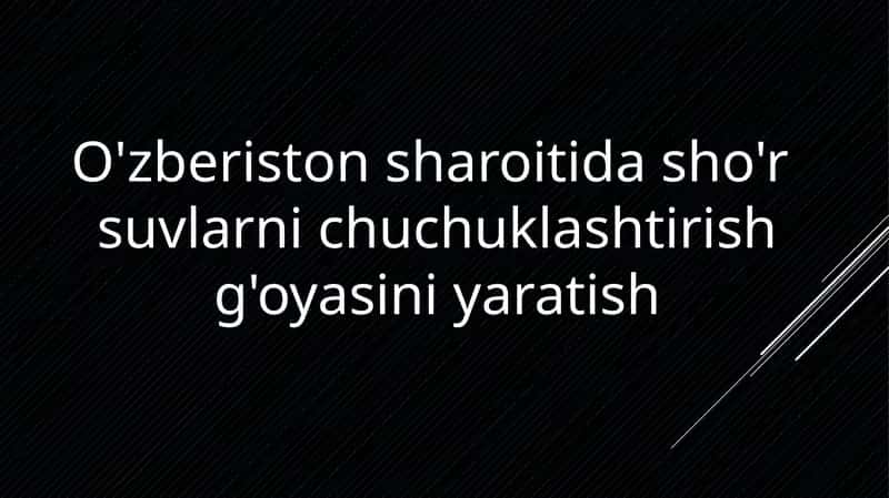 O'zberiston sharoitida sho'r suvlarini chuchuklashtirish go'yasini yaratish