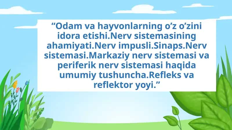 Nerv sistemasi.Markaziy nerv sistemasi va periferik nerv sistemasi