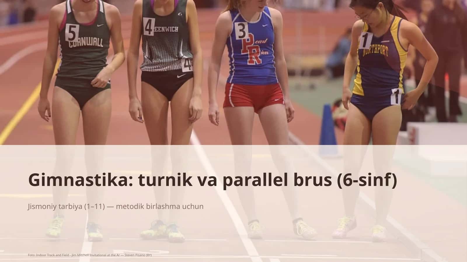 Gimnastika: turnik va parallel brus (6-sinf)