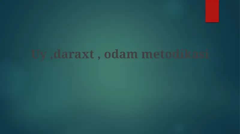 Metodologik Ramkalar