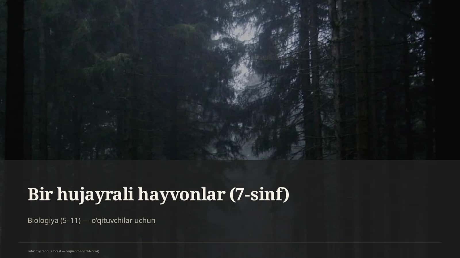 Bir hujayrali hayvonlar (7-sinf)
