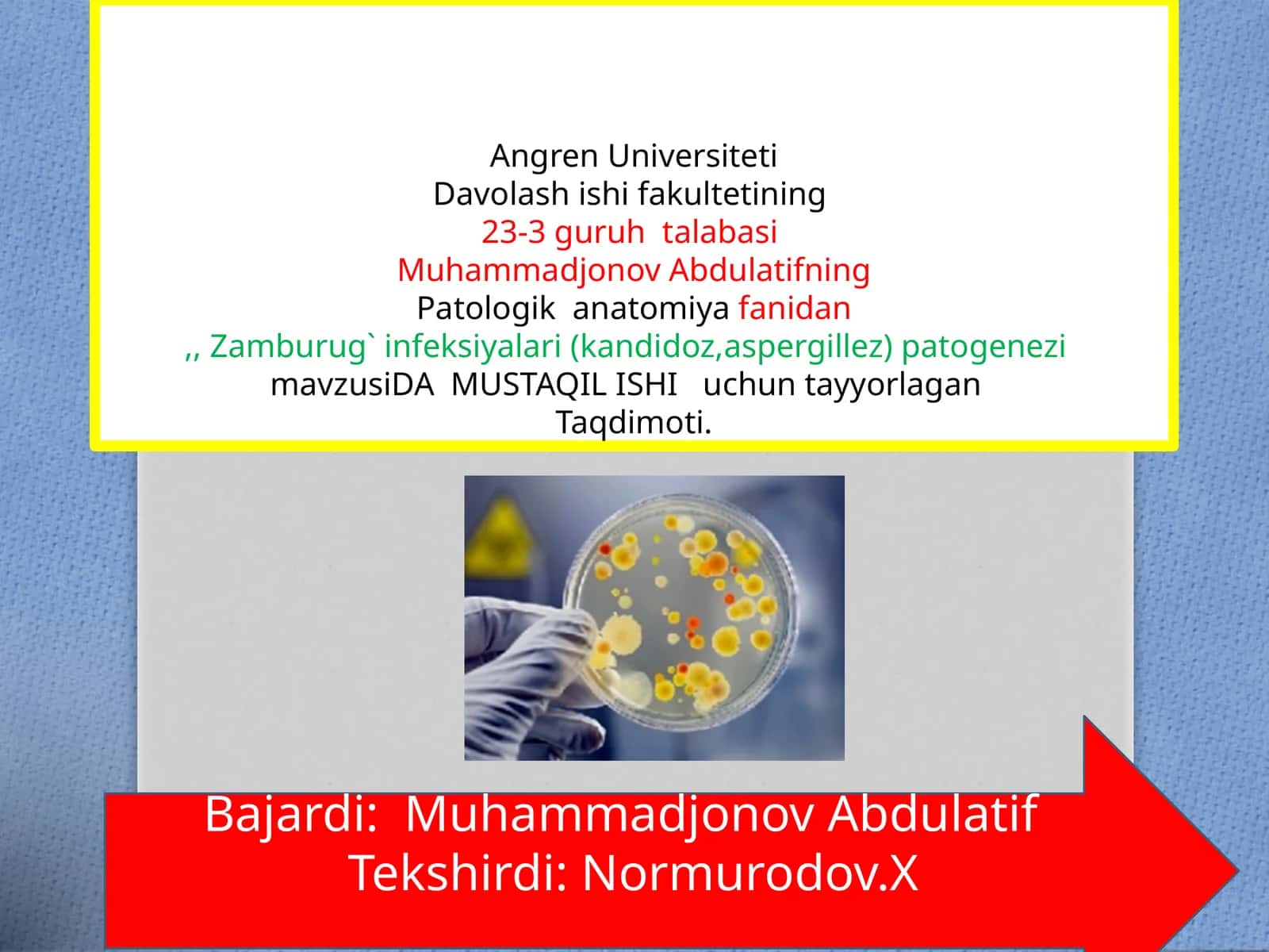 Zamburug` infeksiyalari