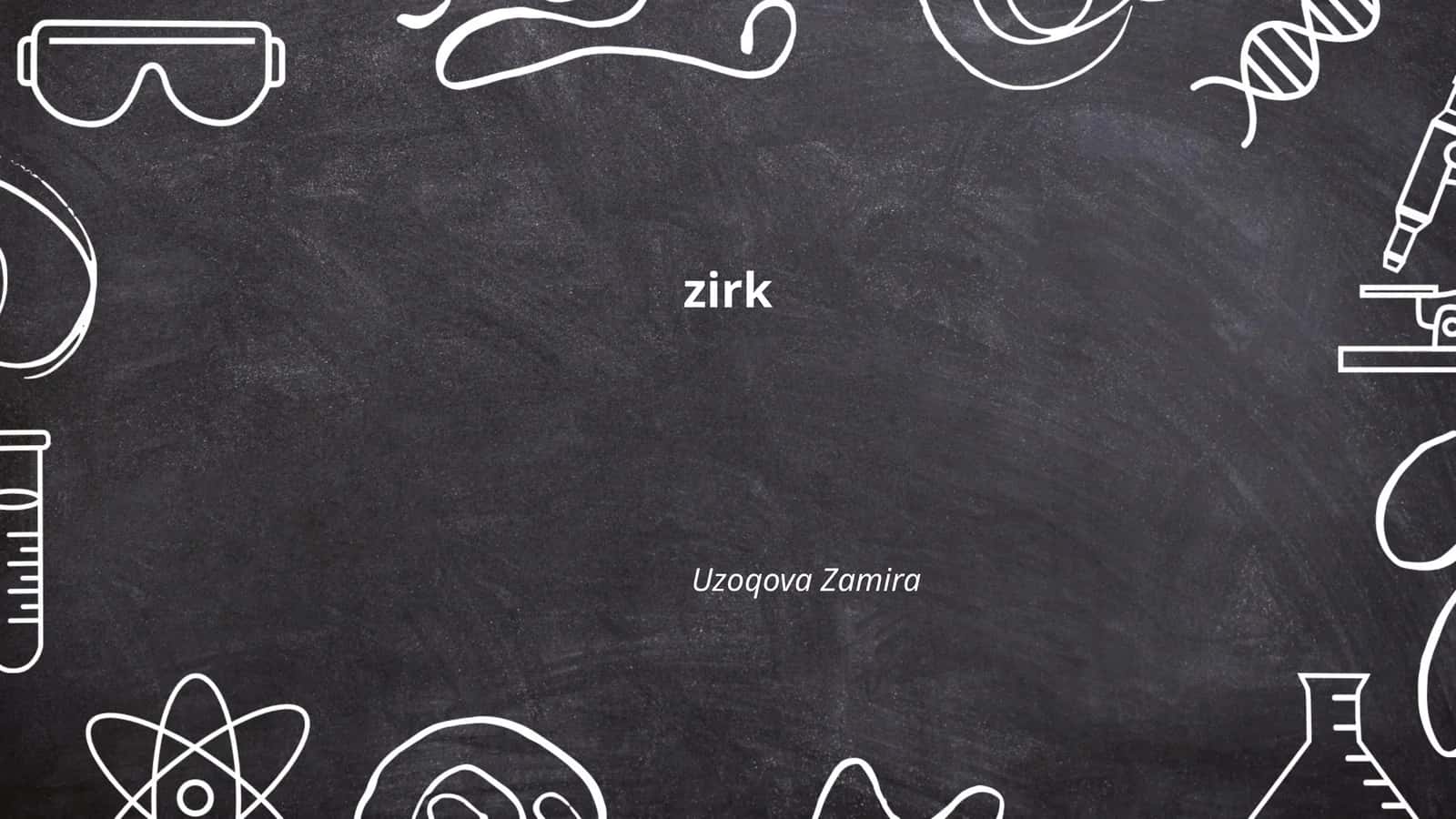 Zirk san'ati