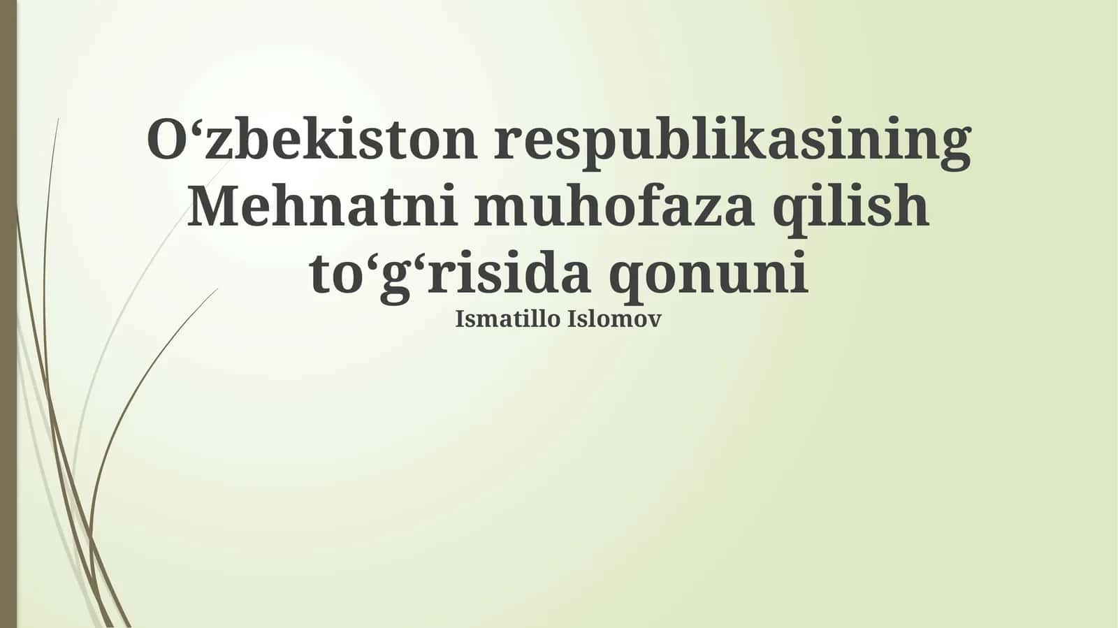 Mehnatni muhofaza qilish toʻgʻrisida qonuni