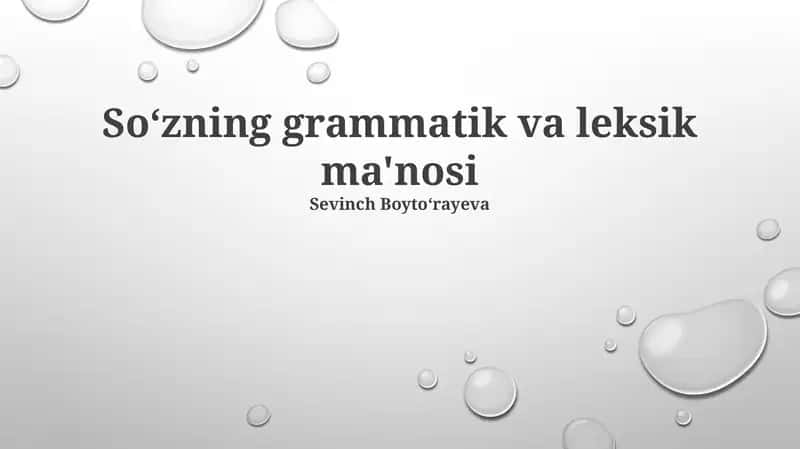 Soʻzning grammatik va leksik ma'nosi