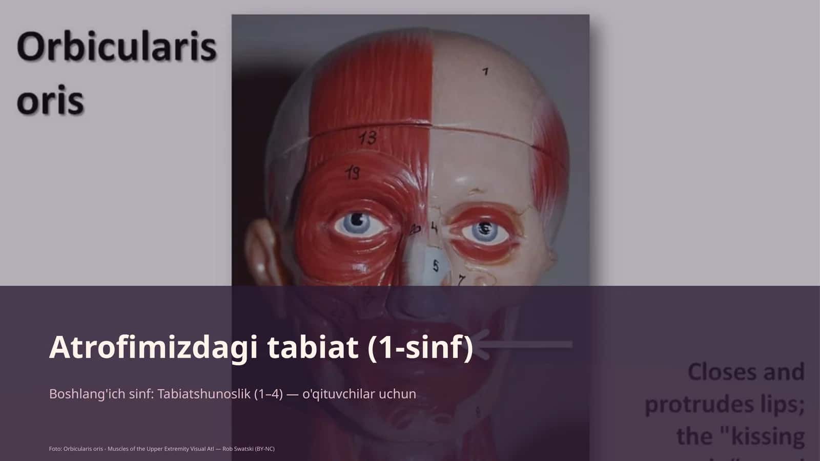 Atrofimizdagi tabiat (1-sinf)