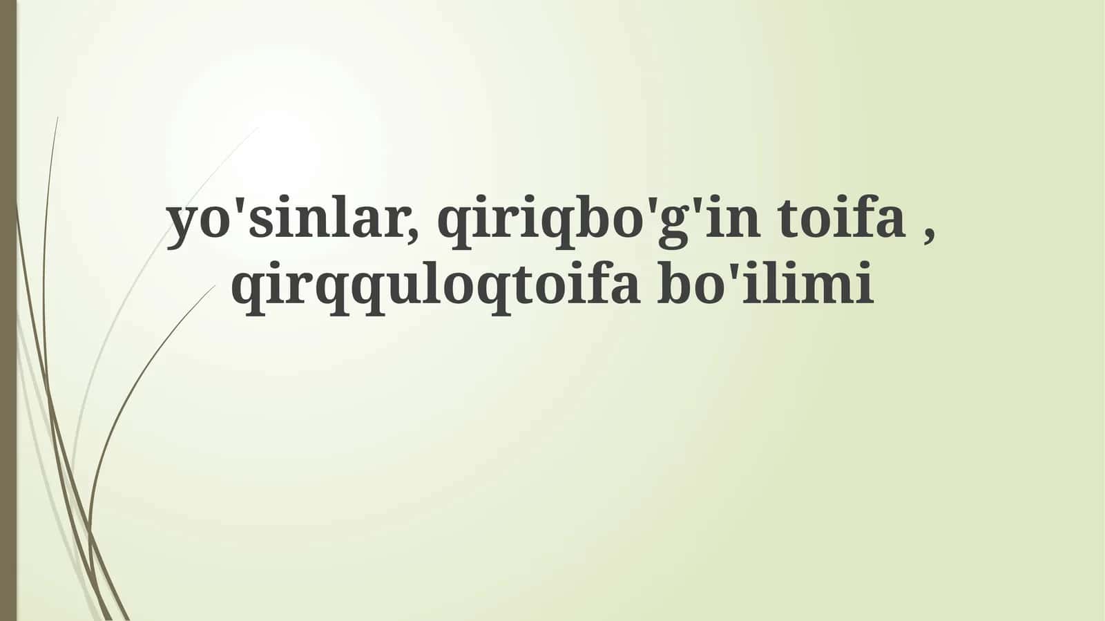 Gymnospermlar, Otquloqlar va Qirqquloqlar: Umumiy Tavsif va Morfologik Xususiyatlar