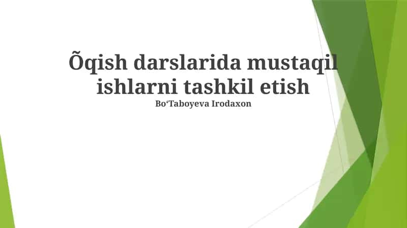 Mustaqil ishlarni tashkil etish
