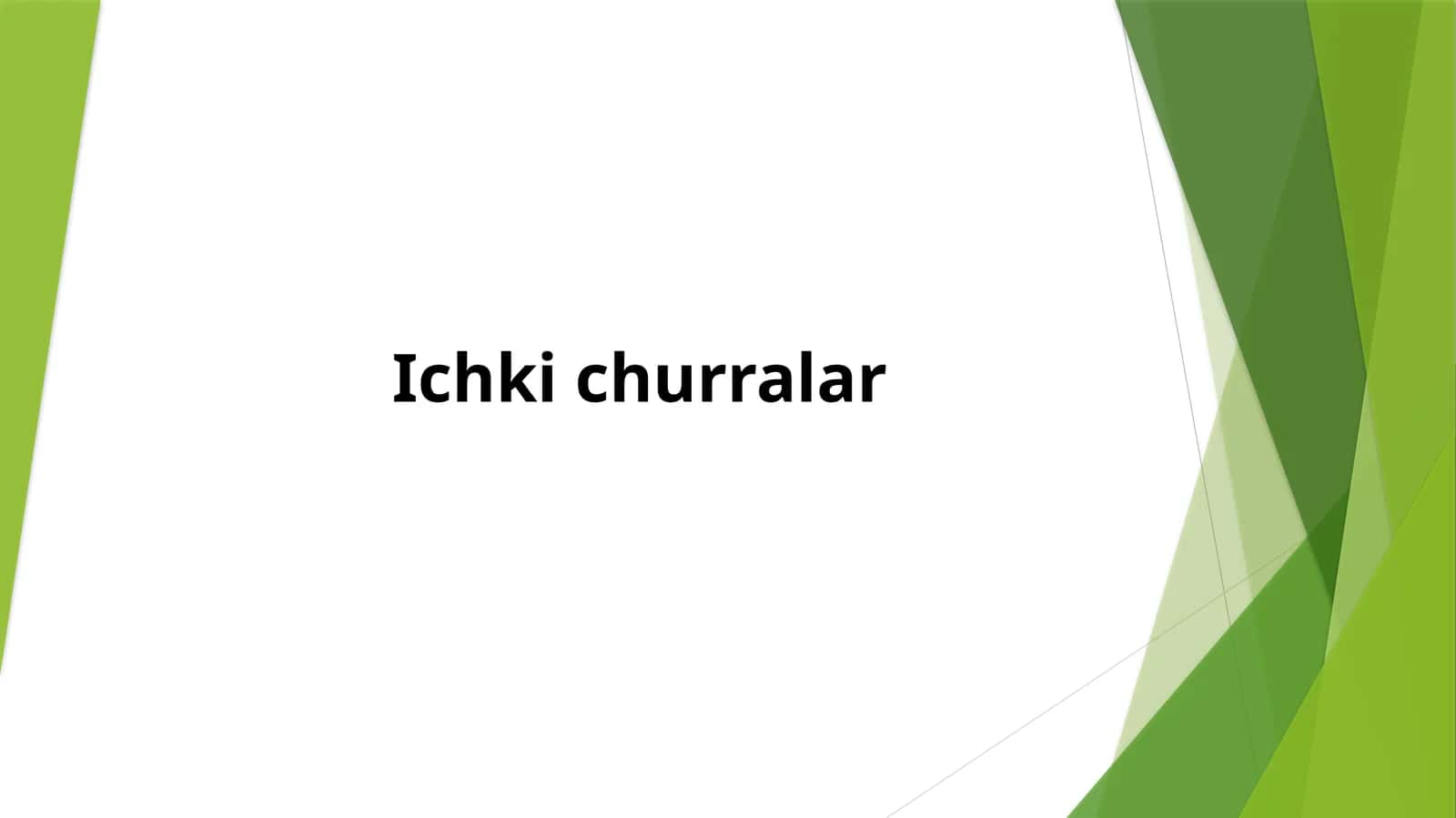 Ichki churralar