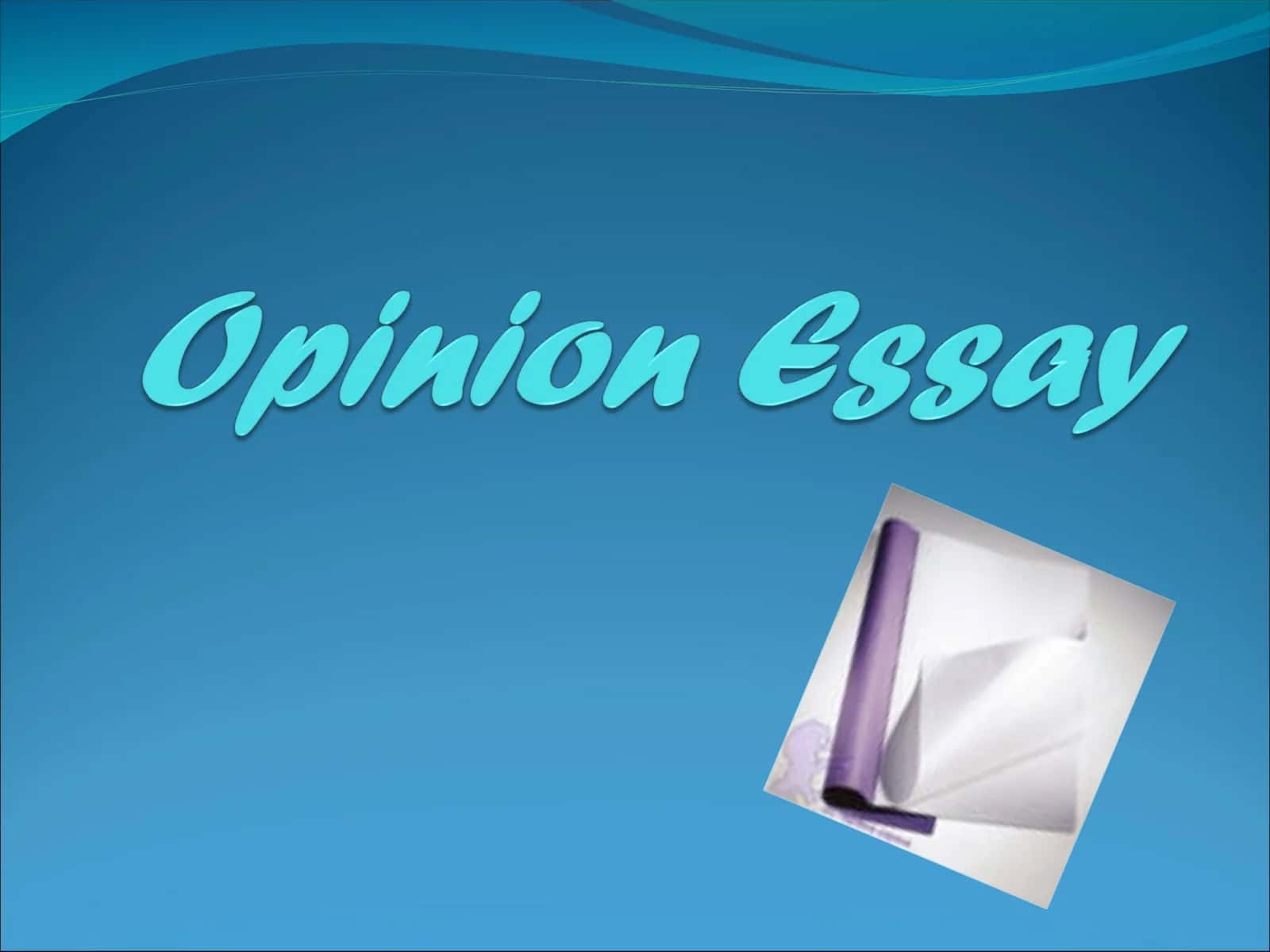 Opinion Essays