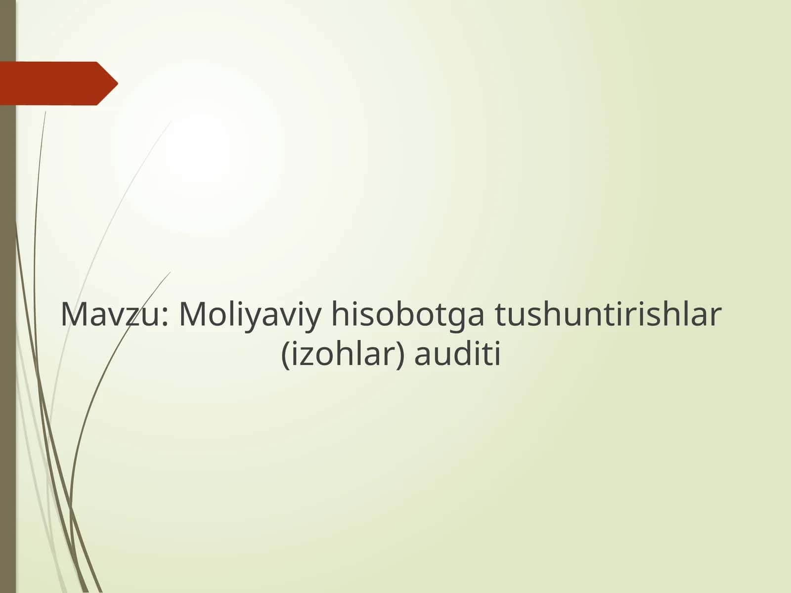 Moliyaviy hisobotga tushuntirishlar (izohlar) auditi